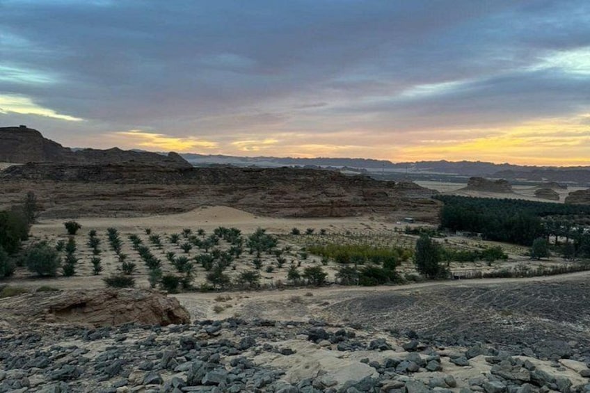 Un paysage désertique caractérisé par un terrain rocheux et une végétation clairsemée. 5