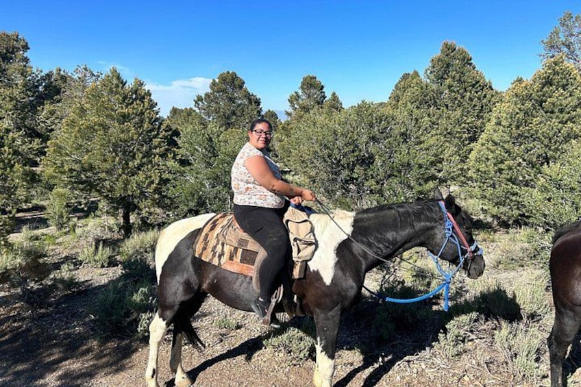 A person riding a horse in a forested area. 2