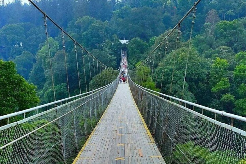 Private Day Tour the Beauty of Situ Gunung (From Jakarta) 1