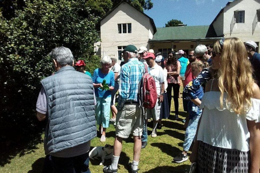 A group of people standing outdoors in a grassy area with buildings in the background. 3