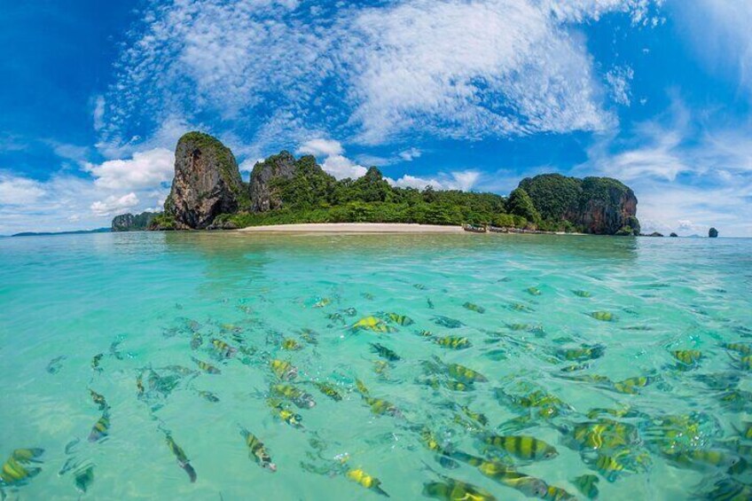 9 Islands Odyssey Tour Speedboat Adventure plus LUNCH 5
