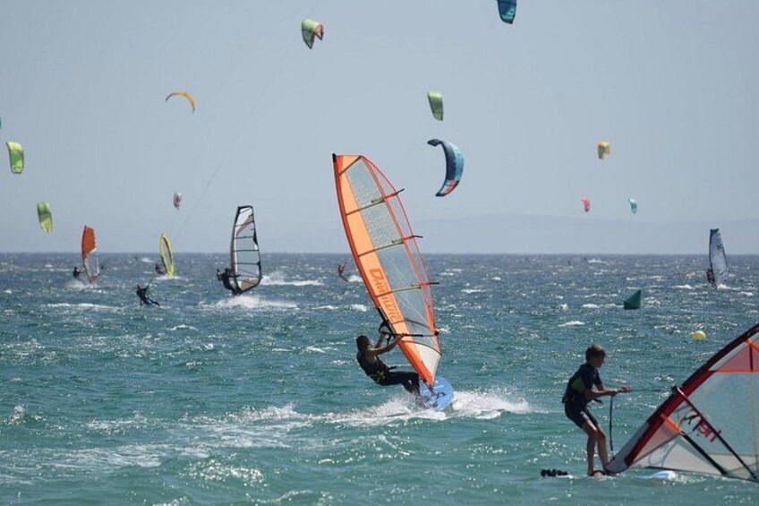 Eine Gruppe von Menschen windsurft auf dem Wasser, wobei mehrere Segelbretter und Drachen sichtbar sind. 4