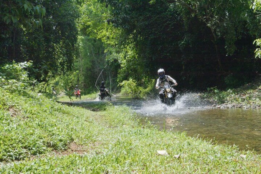 A person riding a motorcycle through a shallow water crossing surrounded by dense greenery. 4