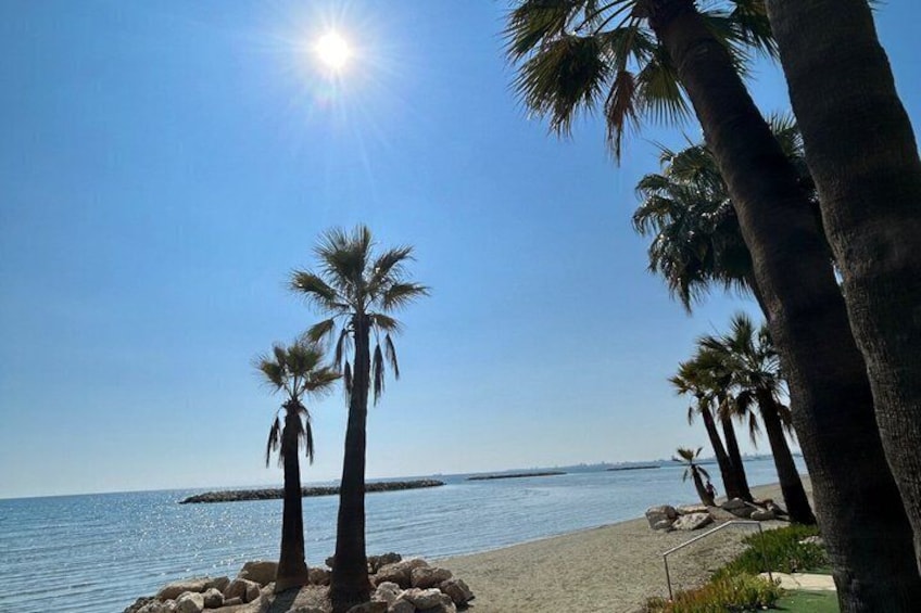 Larnaca, Private City Tour, History, Culture and a Boat Trip 4
