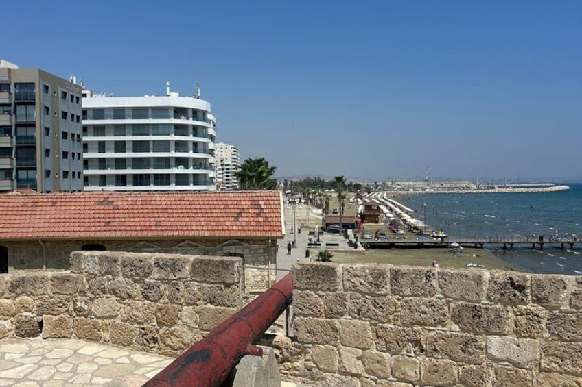 Larnaca, Private City Tour, History, Culture and a Boat Trip 3