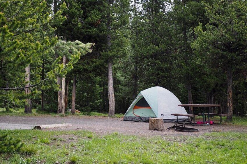 A camping site with a tent, picnic table, and a forested area. 3