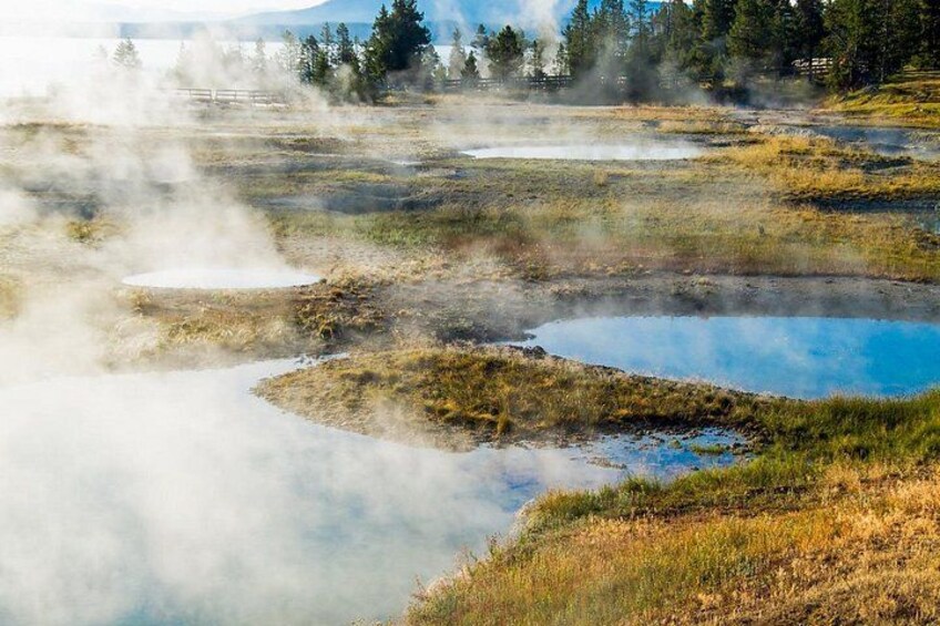 A geothermal area with steam vents, water bodies, and a forested background. 4