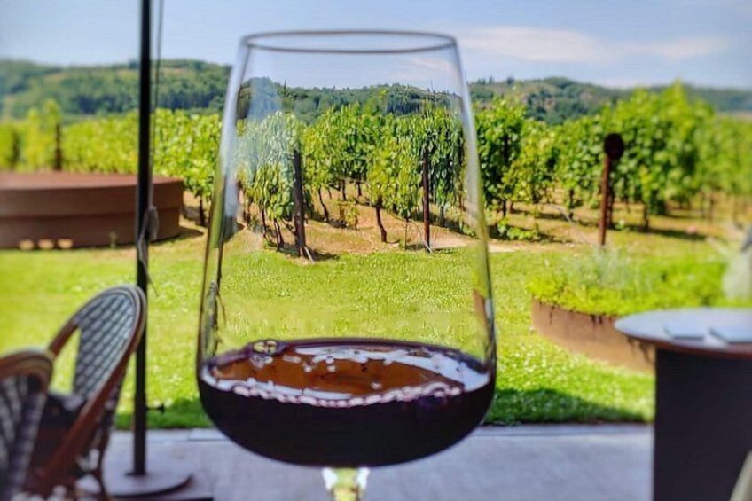 Chianti Hills Tour:Discovering Tuscany's Wine Heart from Florence 5