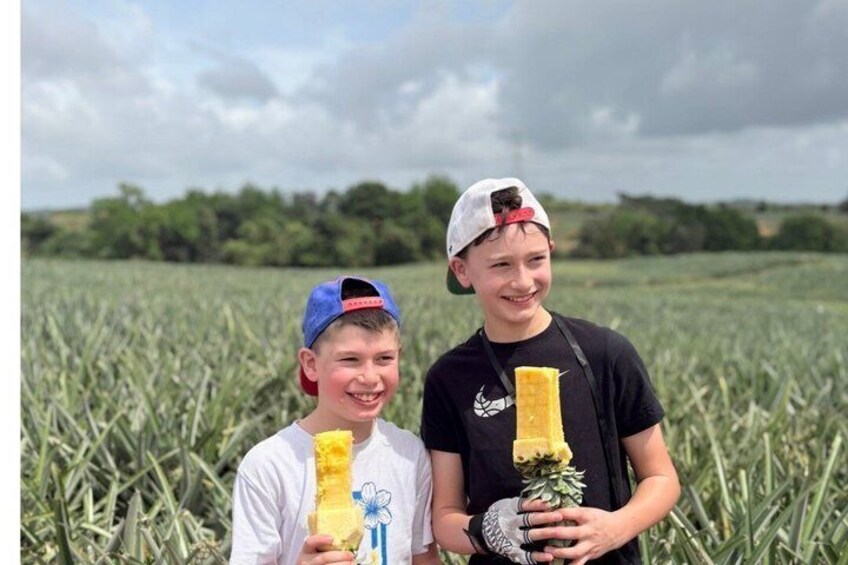 To personer i et mark med en gul genstand og en ananas. 3