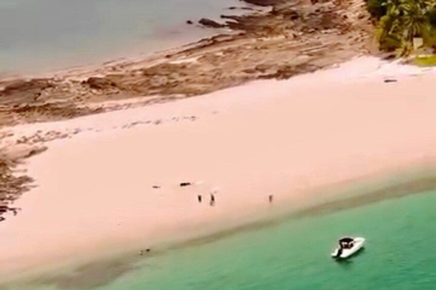 Private Humpback Whale Watching + Turqoise waters beach + jacuzzi 5