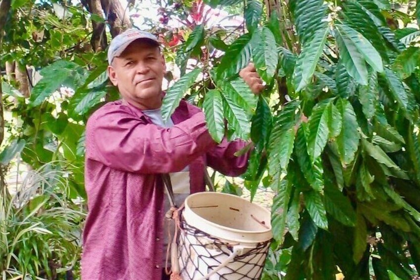 The only Coffee Treats Day in Panama 1