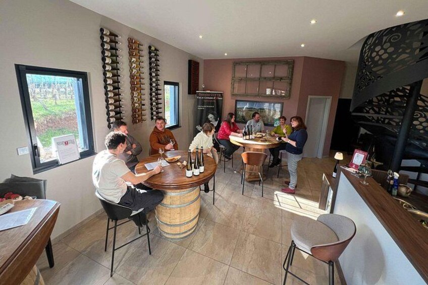 The Organic Treasures of Alsace An Invitation to Tasting 5