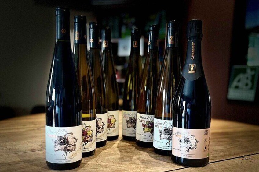 Diverse bottiglie di vino con etichette su un tavolo di legno. 5