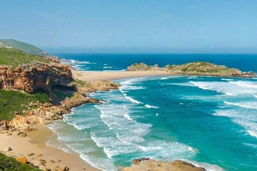 Port Elizabeth to Cape Town 4 Day Garden Route Safari Adventure 3