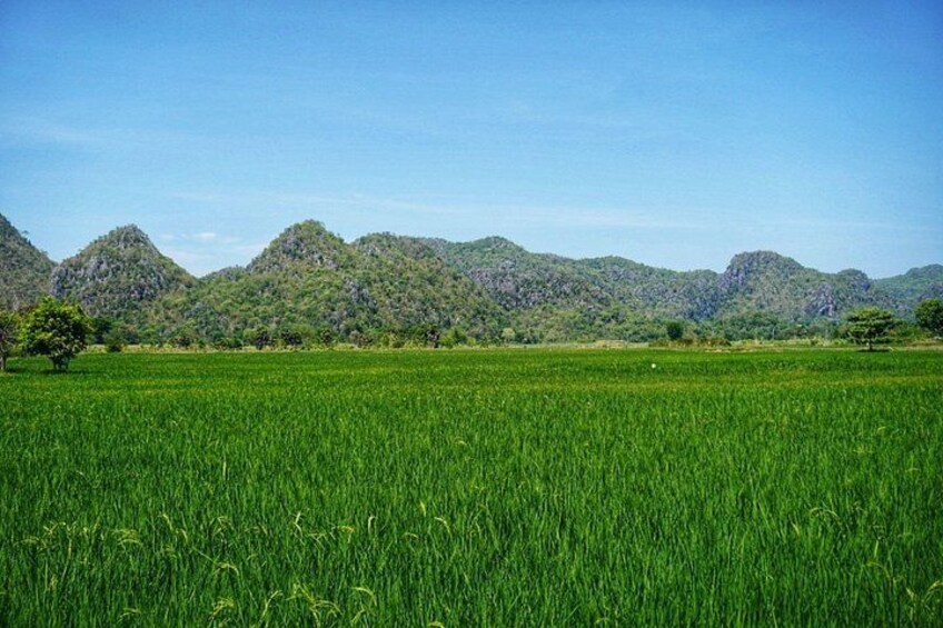 WWII History Bike Tour in Kanchanaburi with Local Guide 2