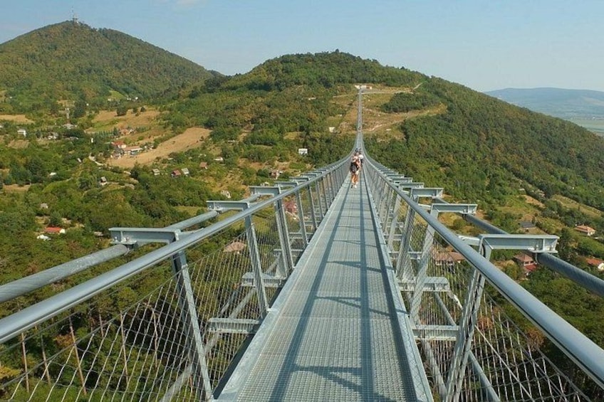 Un puente colgante con barandales y pasarela metálicos, rodeado de colinas verdes y algunos edificios. 1