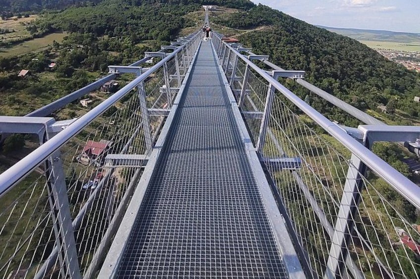 Un largo puente colgante con barandillas de metal y piso de rejilla metálica, que se extiende sobre un valle con vegetación y edificios. 2