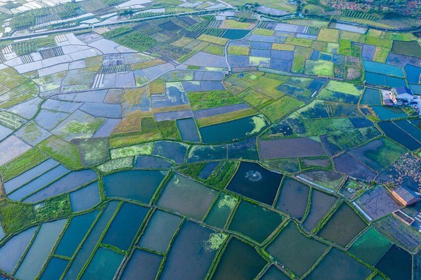 An aerial view of terraced fields with water channels. 3
