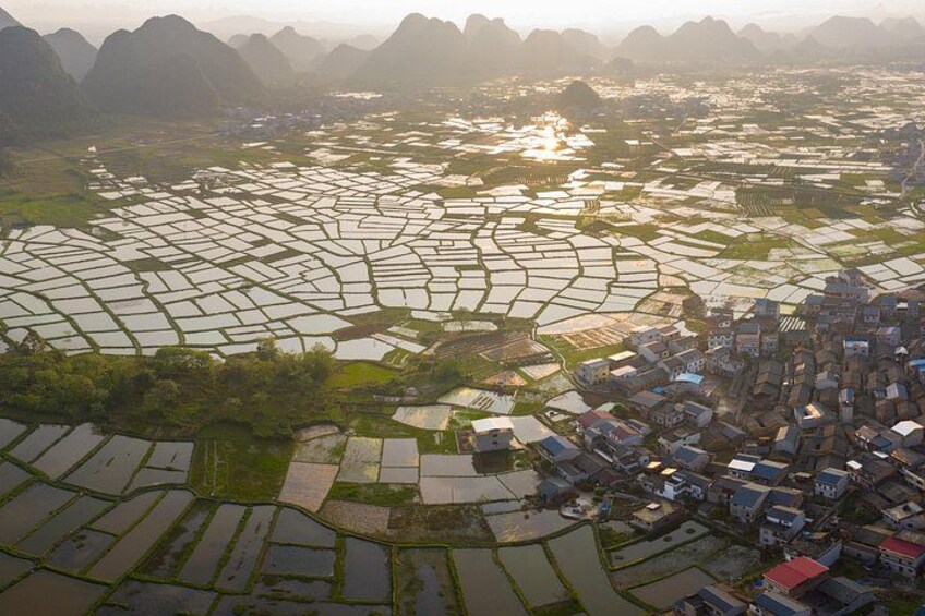 An aerial view of a rice paddy field with a village. 1