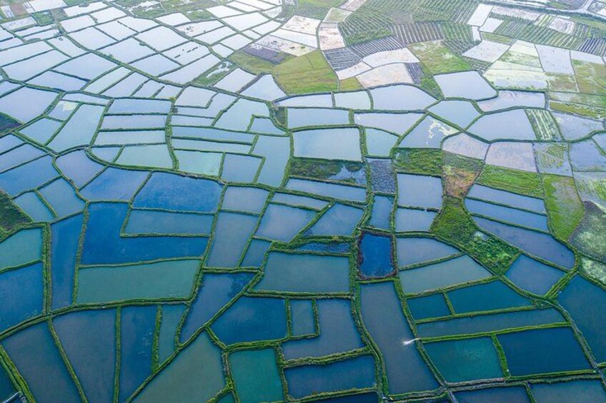 An aerial view of a terraced rice field with distinct water channels. 5