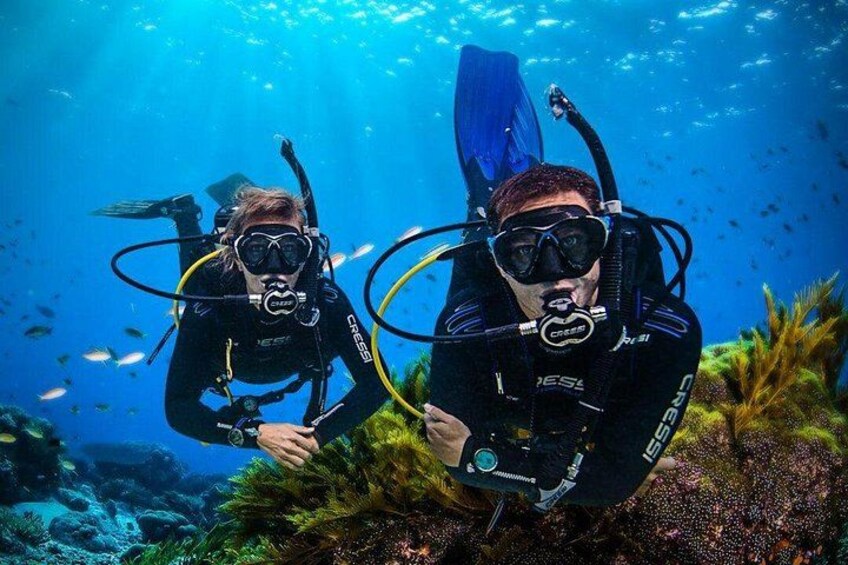 Explore Jounieh: Scuba Diving in Lebanon 1