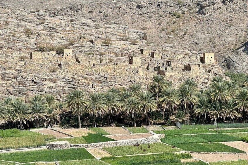Un champ agricole en terrasses, planté de palmiers et agrémenté d’anciennes constructions en pierre, sur le flanc d’une colline. 2