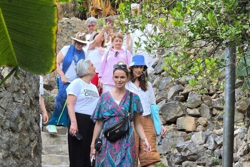 Un groupe de personnes marchant sur un sentier de pierres, entouré de verdure. 1