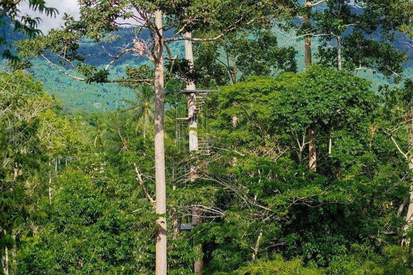 Ultimate Zipline Experience from Koh Samui 4