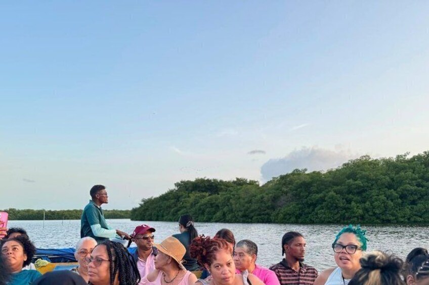 Trinidad's Highlights including Scarlet Ibis Tour 2