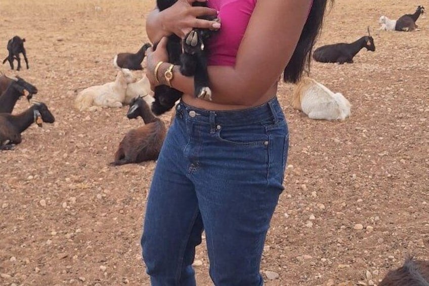 Una persona sosteniendo una cabra, rodeada de otras cabras en un entorno rocoso al aire libre. 2