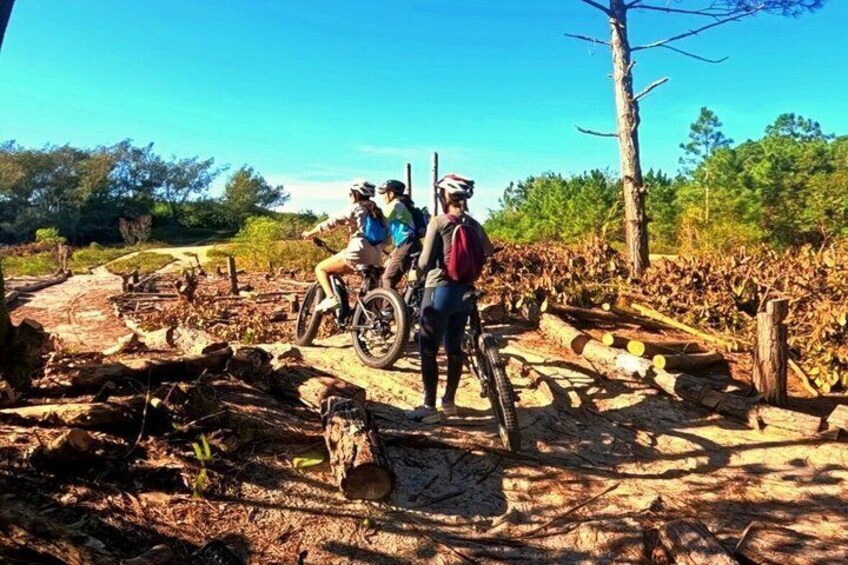 Bicycle on Mozambique Beach in Floripa 4