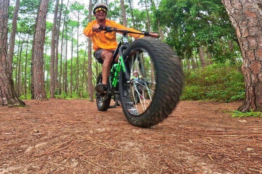 Une personne à vélo, de couleur verte, circule sur un sentier forestier. 1