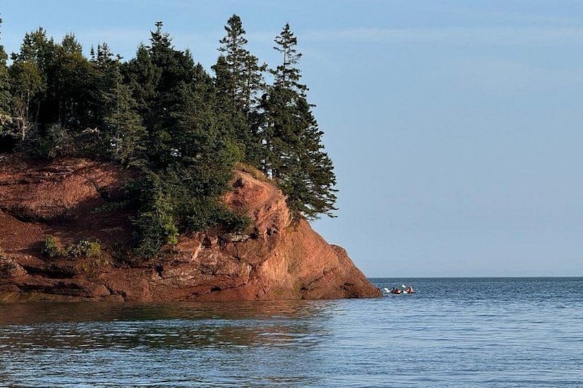 Fundy Shore Tour By Bus 1