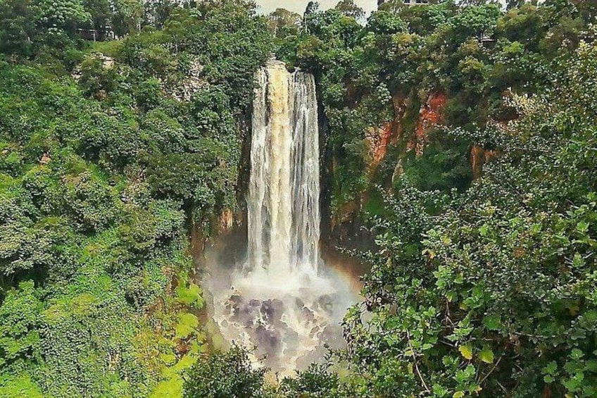 A waterfall surrounded by dense green foliage. 2