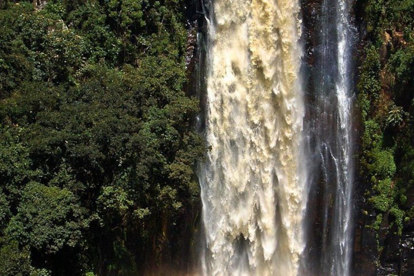 A waterfall surrounded by dense forest. 3