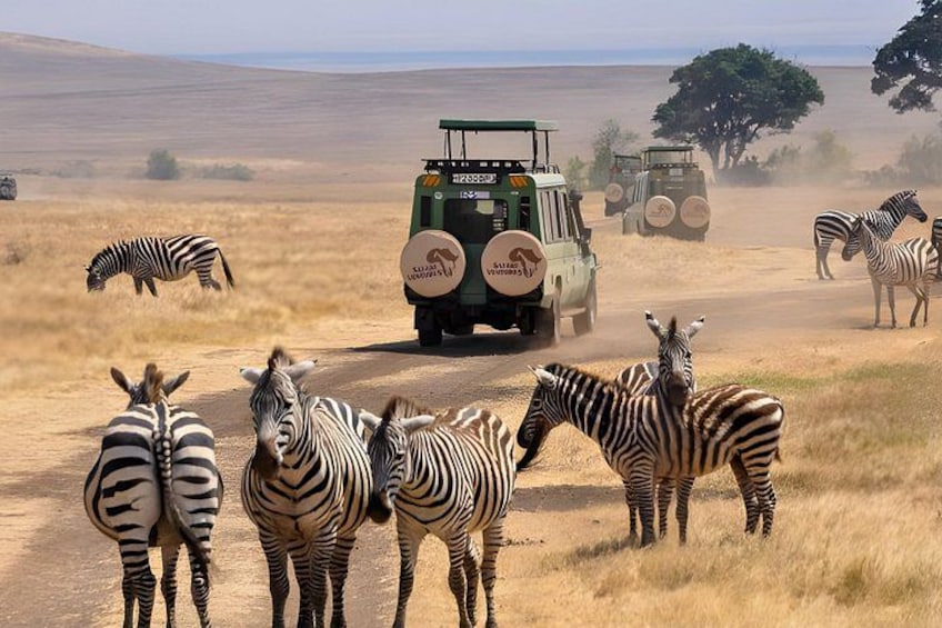 Safari & Spa Experience Johannesburg 2