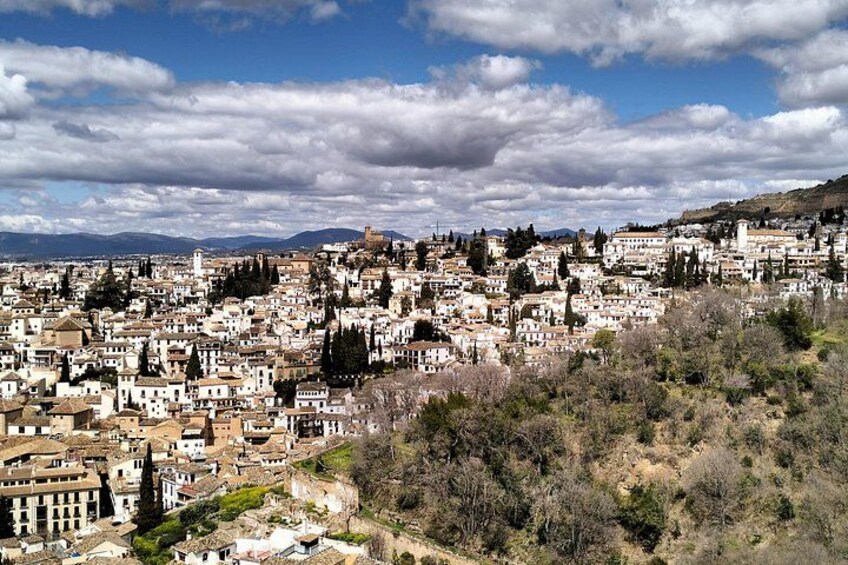 Visit Albaicín and Central Granada from Puerto de Motril 1