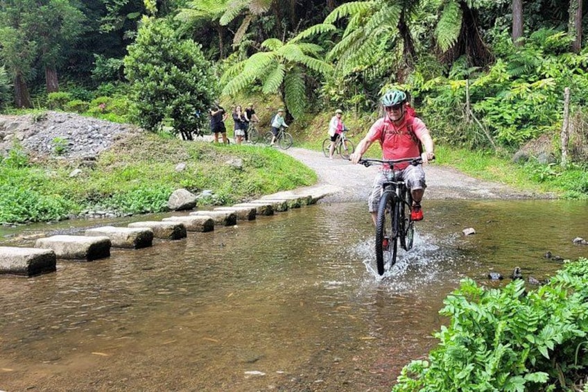 E-Bike Furnas and Cheese Tasting Tour 5