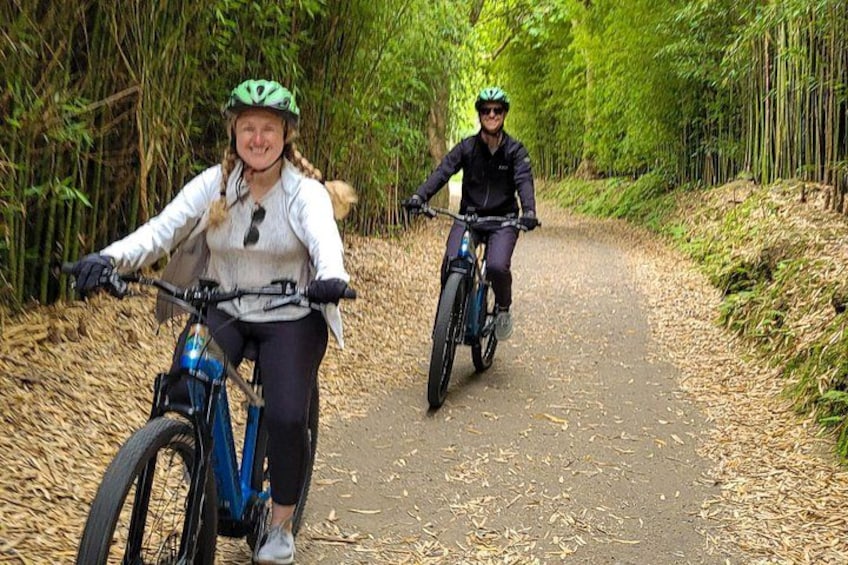 E-Bike Furnas and Cheese Tasting Tour 2