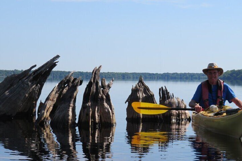 5 Hours Lake Norris Kayak Activity with Lunch