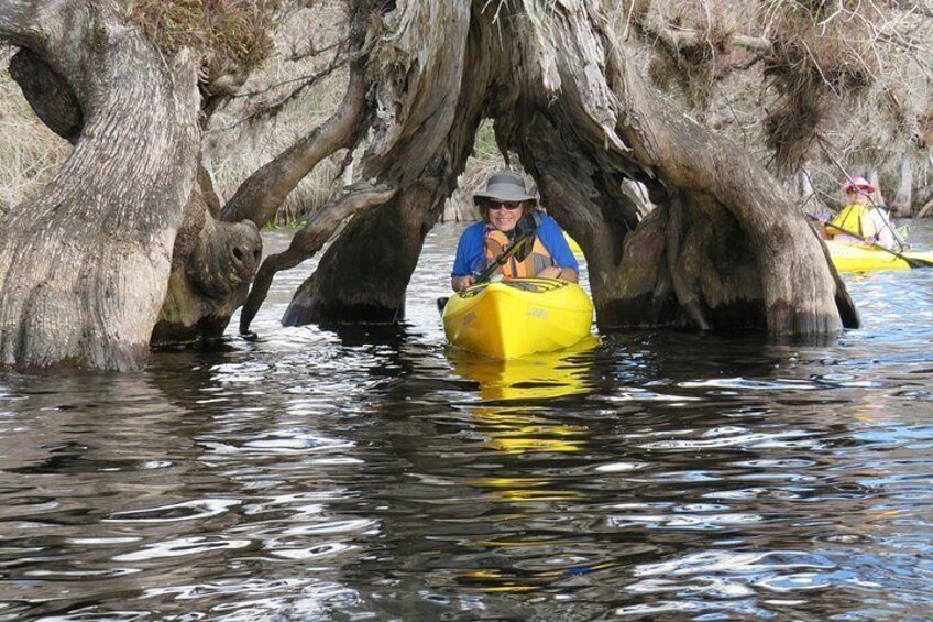 Personas haciendo kayak en un río bajo árboles altos. 4