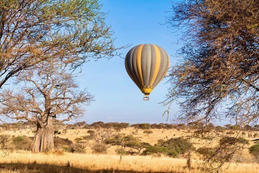 Un globo aerostático sobrevuela un paisaje de sabana con árboles dispersos y hierba seca. 1