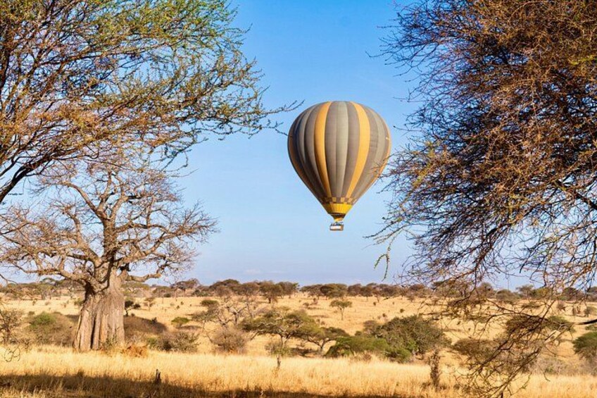 Een luchtballon boven een savannelandschap met schaarse bomen en droog gras. 1