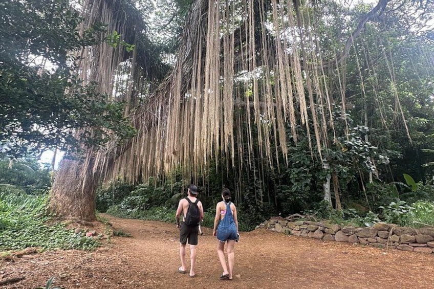 Island of Maui Customized Half Day Tour 5