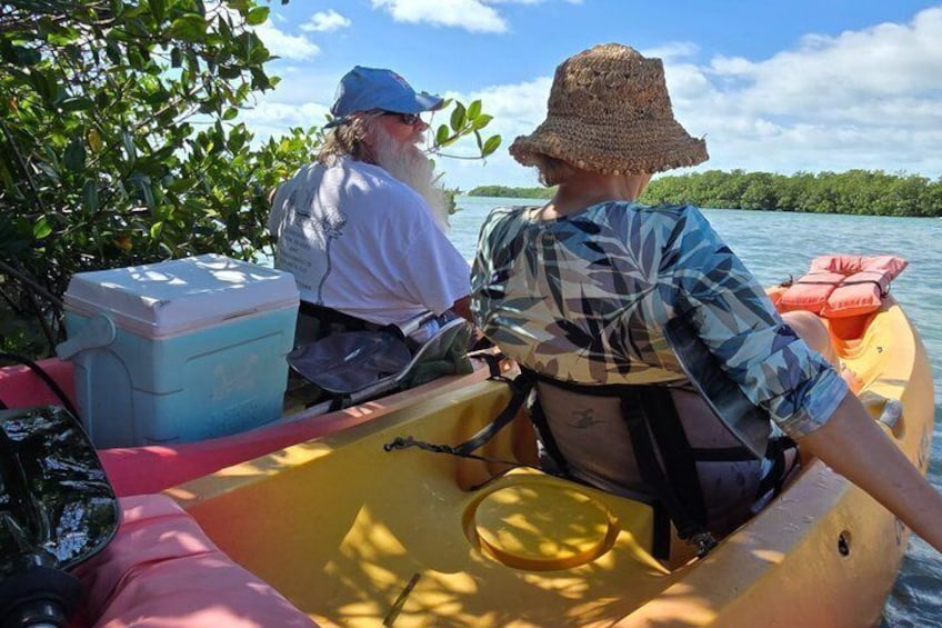 PRIVATE Guided Mangrove Eco-Tour Adventure 3