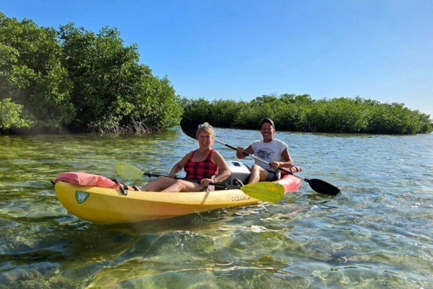 PRIVATE Guided Mangrove Eco-Tour Adventure 2
