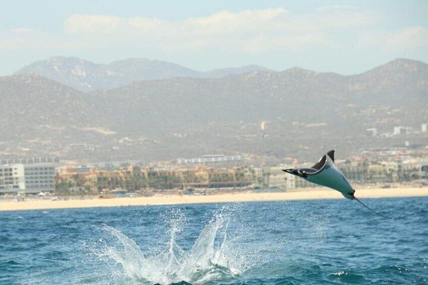 A kite flying over a beach with mountains in the background. 2