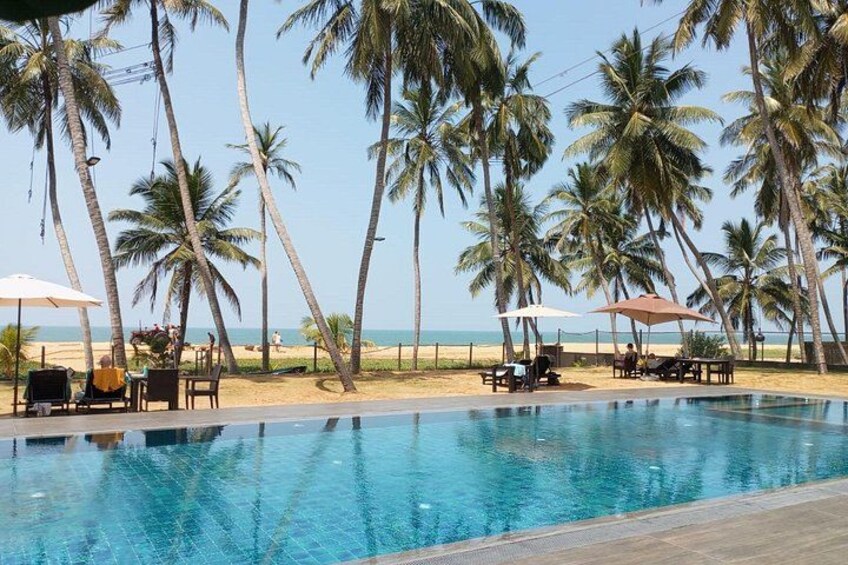 A swimming pool with lounge chairs and umbrellas, surrounded by palm trees and a beach. 3