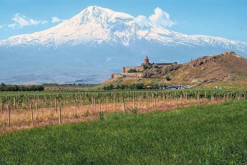 A vineyard, a hilltop building, and a snow-capped mountain in the background. 1