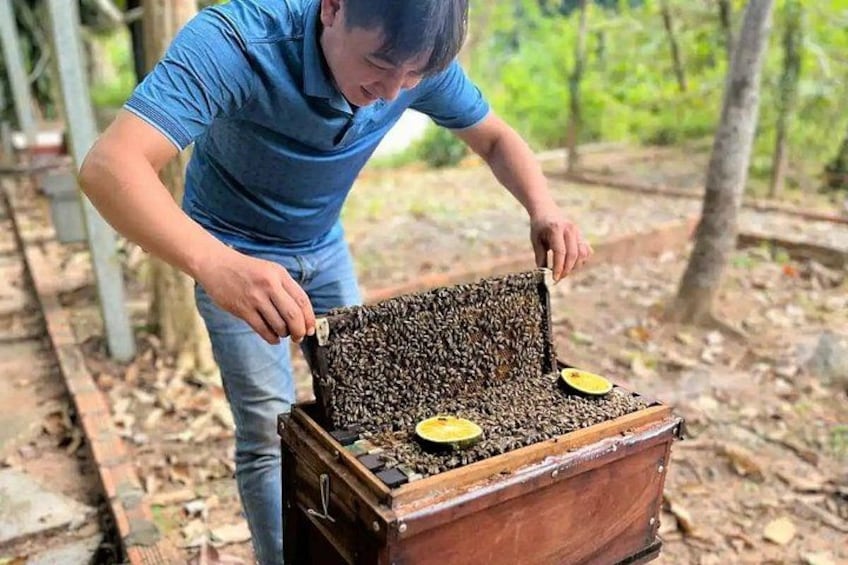 A person opening a wooden box with a honeycomb inside, outdoors. 1